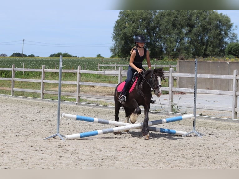 Tinker Merrie 8 Jaar 124 cm Zwart in Pepingen