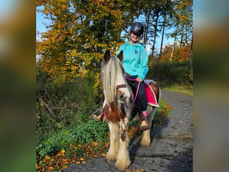 Tinker Merrie 9 Jaar 144 cm Gevlekt-paard in Linkenbach Tinker Merrie 9 Jaar 144 cm Gevlekt-paard in Linkenbach