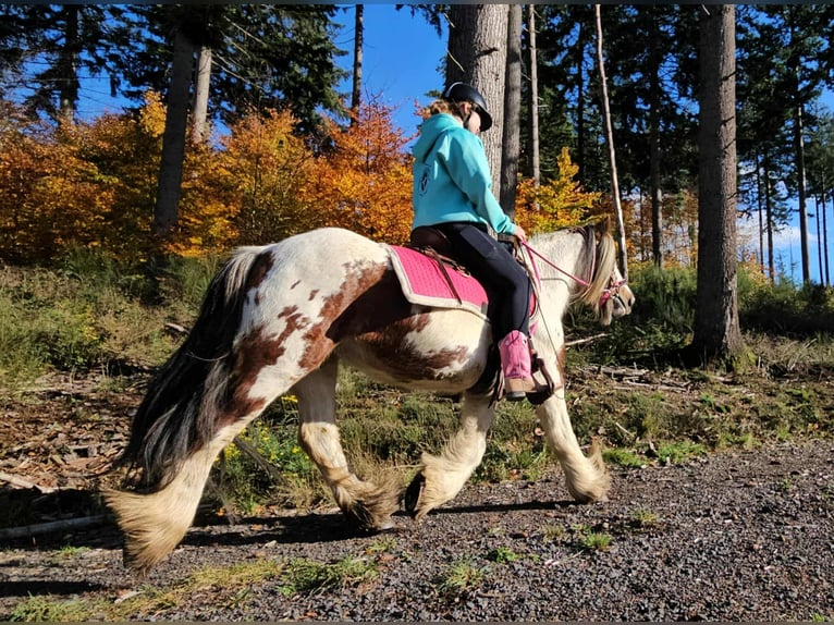 Tinker Merrie 9 Jaar 144 cm Gevlekt-paard in Linkenbach Tinker Merrie 9 Jaar 144 cm Gevlekt-paard in Linkenbach