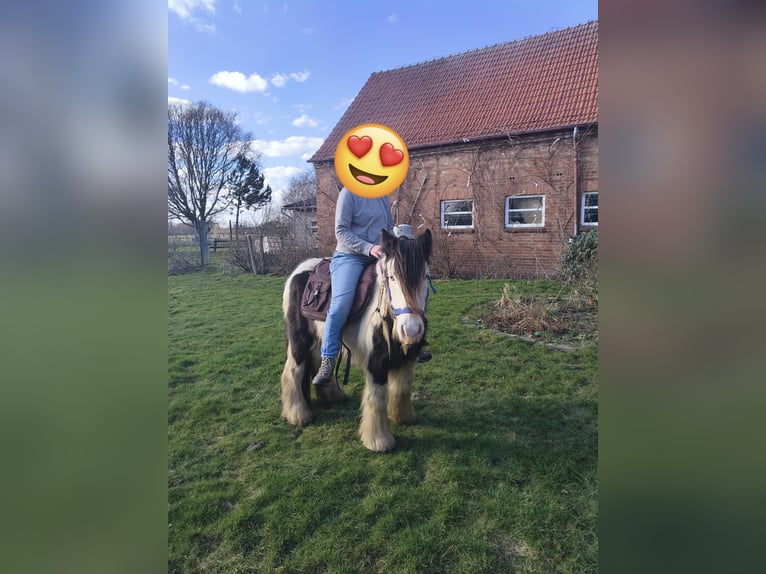 Tinker Ruin 10 Jaar 128 cm Gevlekt-paard in Rahden