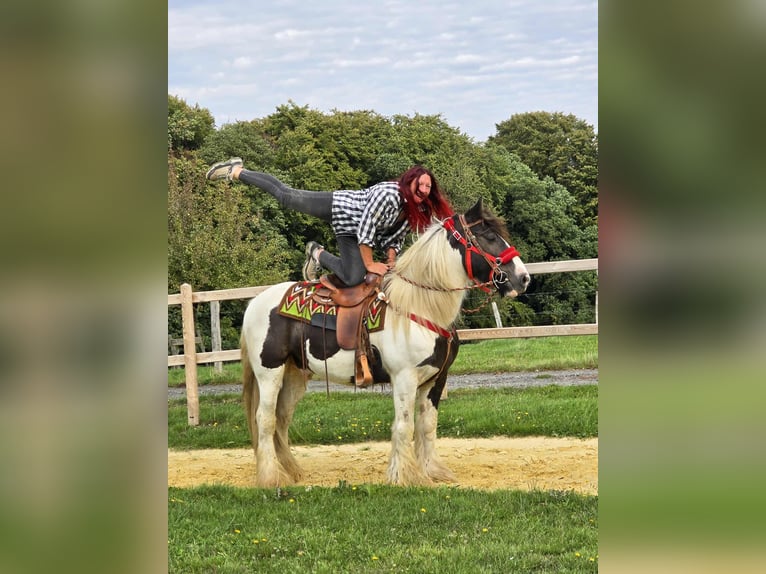 Tinker Ruin 11 Jaar 156 cm Gevlekt-paard in Linkenbach