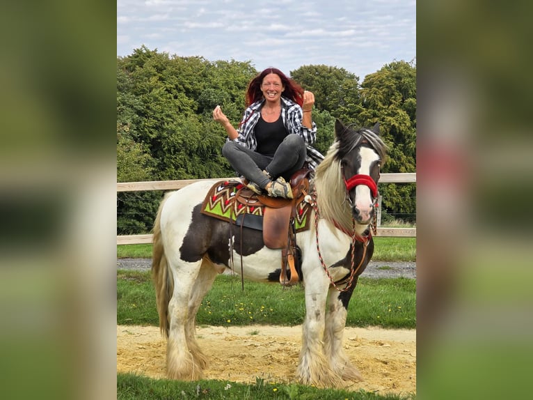 Tinker Ruin 11 Jaar 156 cm Gevlekt-paard in Linkenbach
