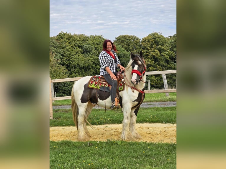 Tinker Ruin 11 Jaar 156 cm Gevlekt-paard in Linkenbach