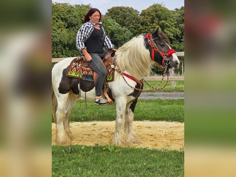 Tinker Ruin 11 Jaar 156 cm Gevlekt-paard in Linkenbach