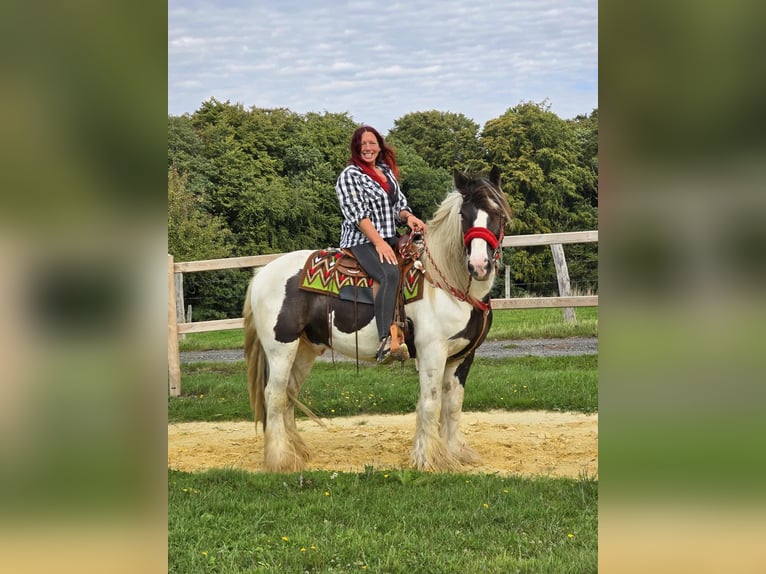 Tinker Ruin 11 Jaar 156 cm Gevlekt-paard in Linkenbach