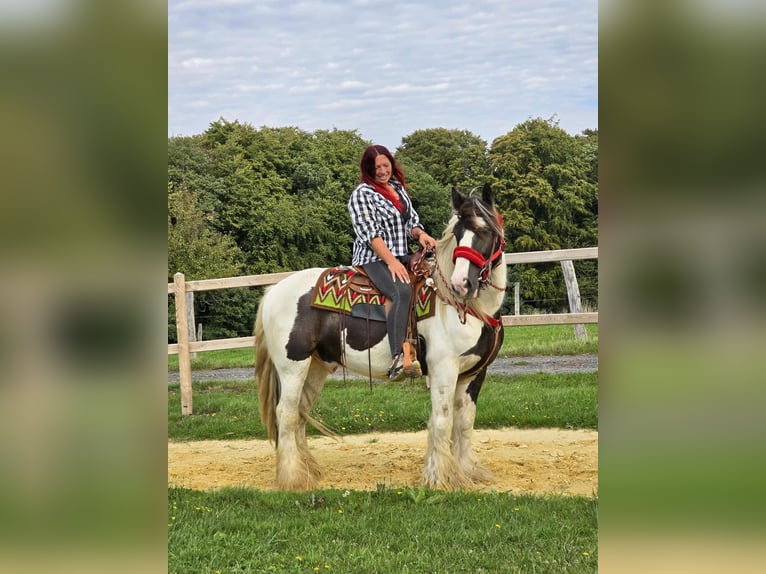Tinker Ruin 11 Jaar 156 cm Gevlekt-paard in Linkenbach