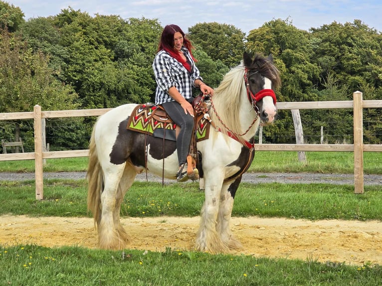 Tinker Ruin 11 Jaar 156 cm Gevlekt-paard in Linkenbach