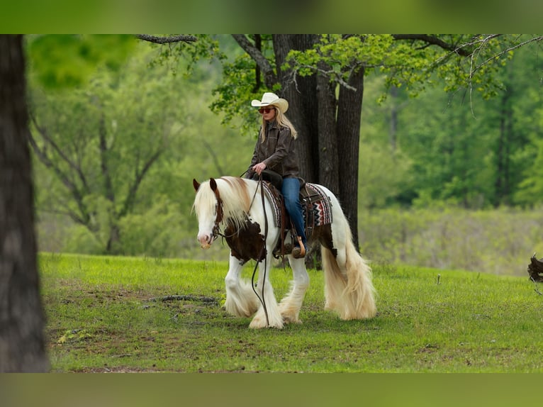 Tinker Ruin 3 Jaar 142 cm Tobiano-alle-kleuren in Quitman, AR