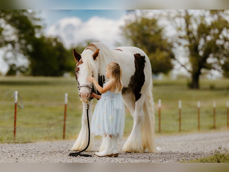 Tinker Ruin 3 Jaar 142 cm Tobiano-alle-kleuren in Quitman, AR