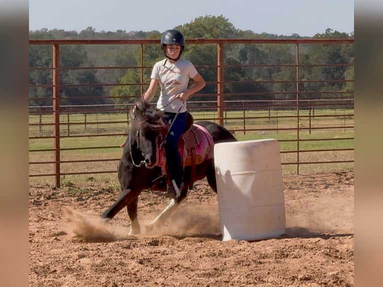 Tinker Mix Ruin 4 Jaar 122 cm Gevlekt-paard in Weatherford