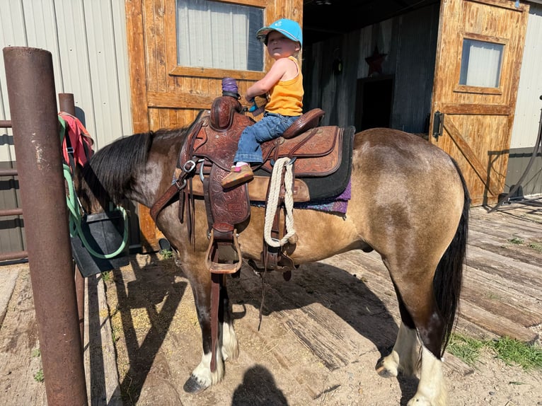 Tinker Mix Ruin 4 Jaar 137 cm Buckskin in Thedford