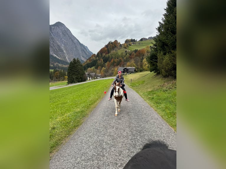 Tinker Mix Ruin 4 Jaar 145 cm Gevlekt-paard in Dalaas