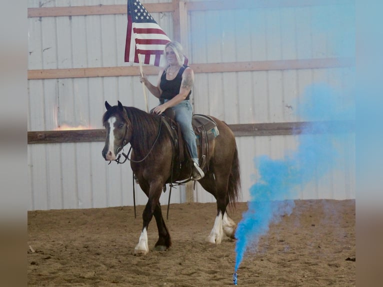 Tinker Mix Ruin 4 Jaar 150 cm Buckskin in Plano