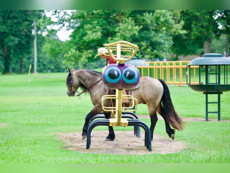 Tinker Mix Ruin 4 Jaar Buckskin in Bloomburg