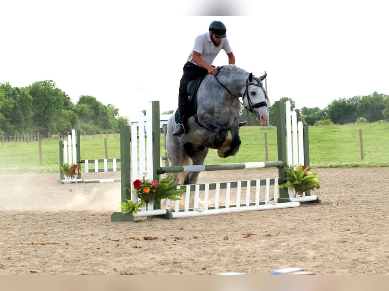 Tinker Ruin 4 Jaar Schimmel in Syracuse