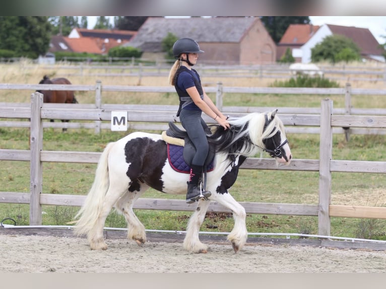 Tinker Ruin 5 Jaar 120 cm Gevlekt-paard in Pepingen