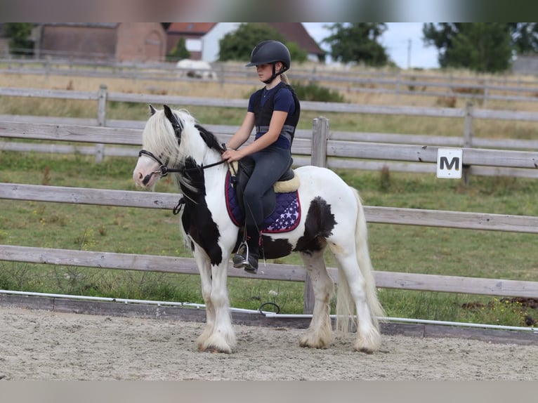 Tinker Ruin 5 Jaar 120 cm Gevlekt-paard in Pepingen