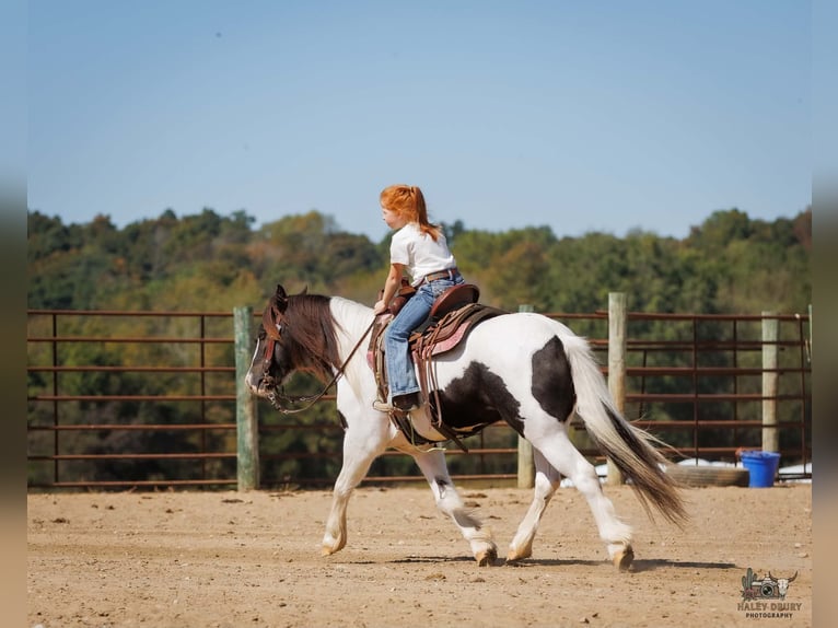 Tinker Ruin 5 Jaar 124 cm Gevlekt-paard in Auburn