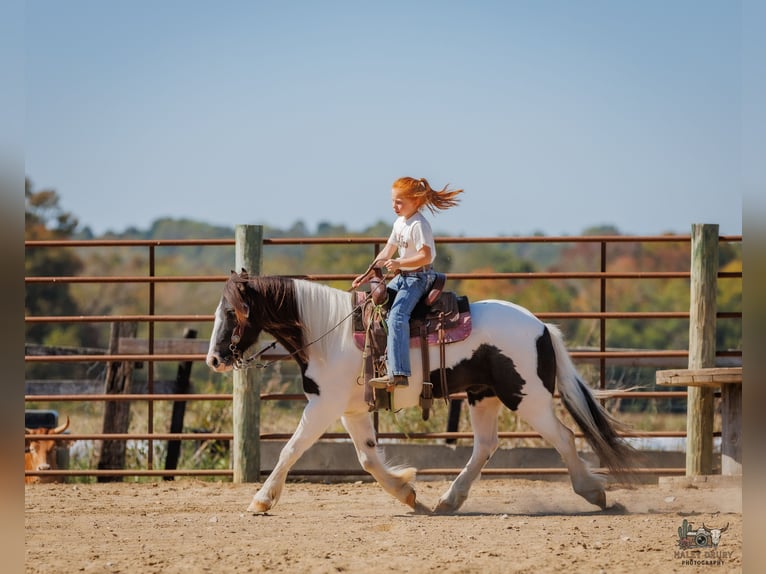 Tinker Ruin 5 Jaar 124 cm Gevlekt-paard in Auburn