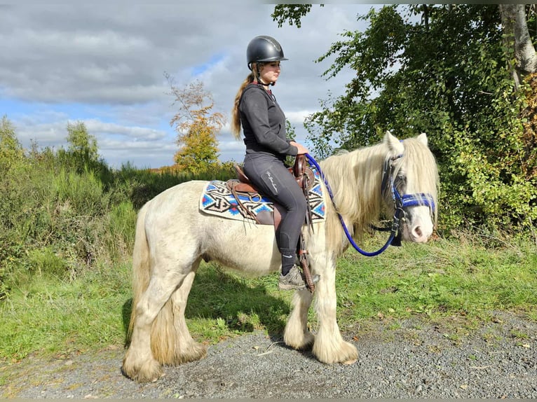 Tinker Ruin 5 Jaar 143 cm Gevlekt-paard in Linkenbach