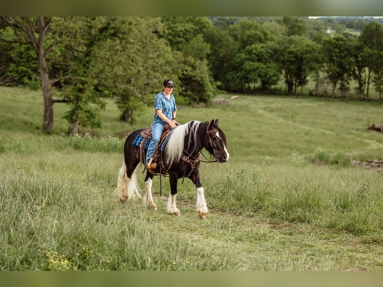 Tinker Ruin 5 Jaar 152 cm Tobiano-alle-kleuren in Half Way, MO