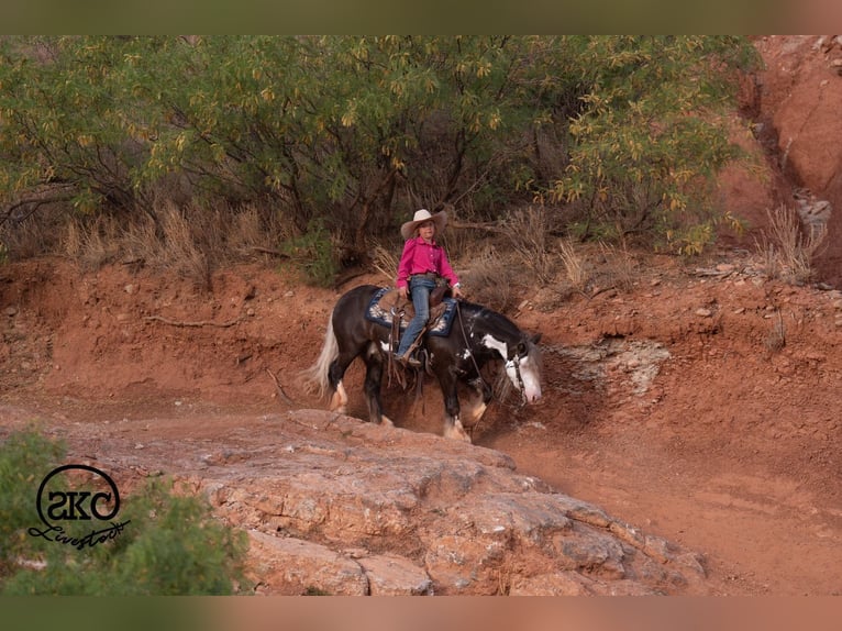 Tinker Mix Ruin 5 Jaar  in Canyon