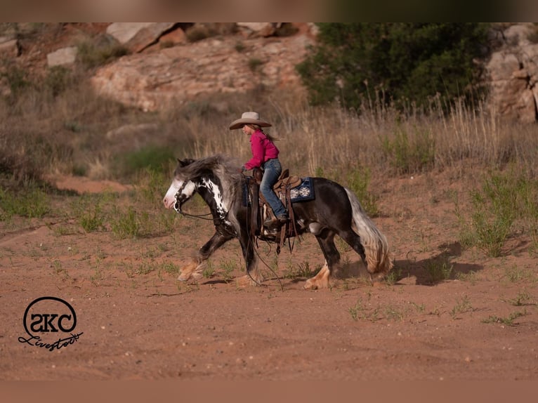 Tinker Mix Ruin 5 Jaar  in Canyon