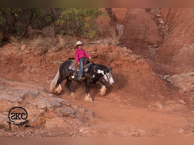 Tinker Mix Ruin 5 Jaar  in Canyon