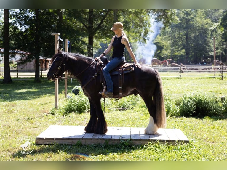 Tinker Ruin 6 Jaar Zwart in Middleboro