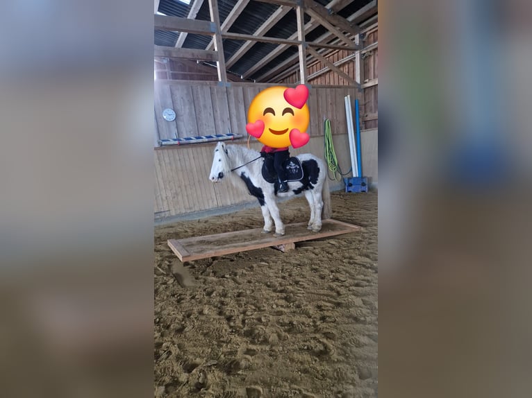 Tinker Ruin 7 Jaar 125 cm Gevlekt-paard in Bad Berleburg