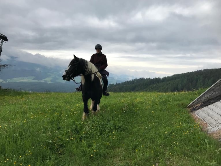 Tinker Ruin 9 Jaar 165 cm Gevlekt-paard in Obdach
