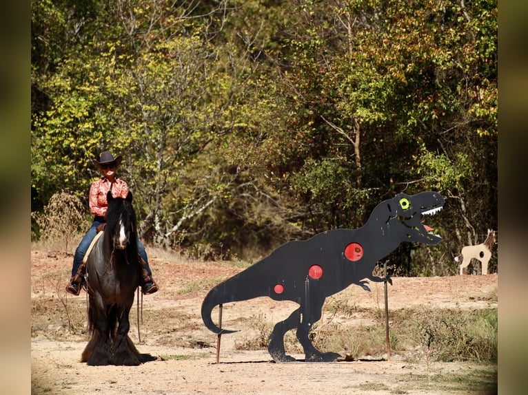 Tinker Semental 7 años 150 cm Ruano azulado in Grand Saline