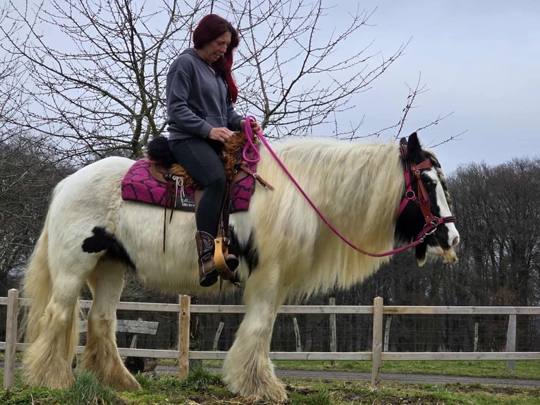 Tinker Stute 15 Jahre 146 cm Schecke in Linkenbach
