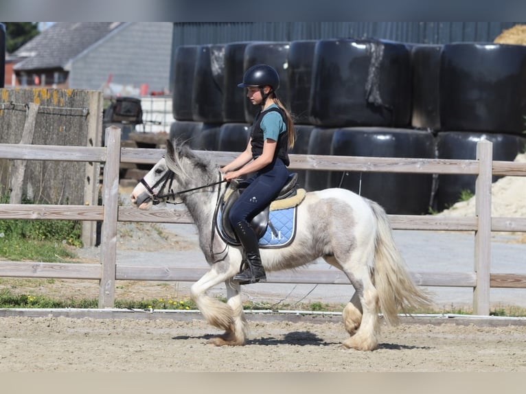 Tinker Stute 4 Jahre 116 cm Schecke in Bogaarden