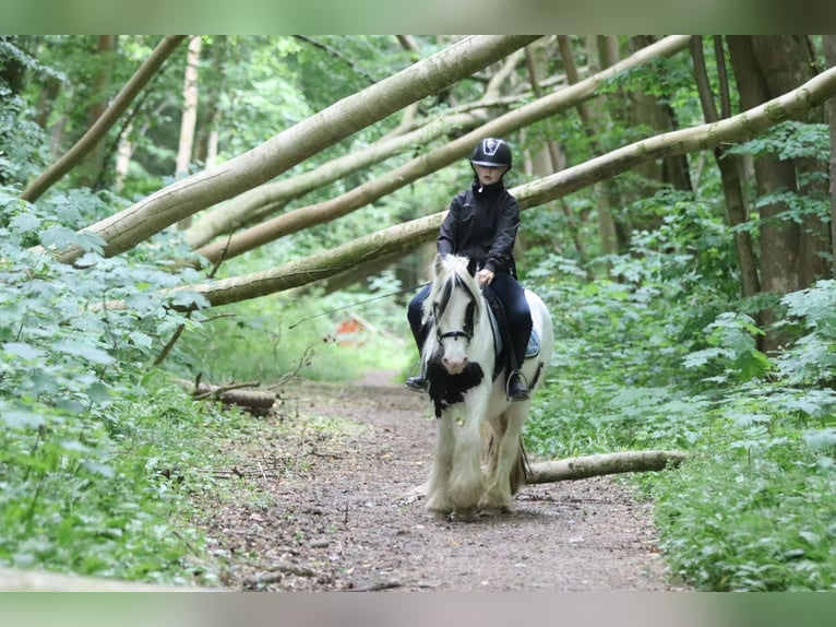 Tinker Stute 4 Jahre 128 cm Schecke in Bogaarden