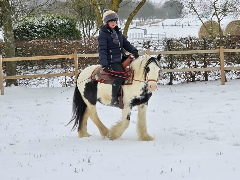 Tinker Stute 5 Jahre 135 cm Schecke in Linkenbach