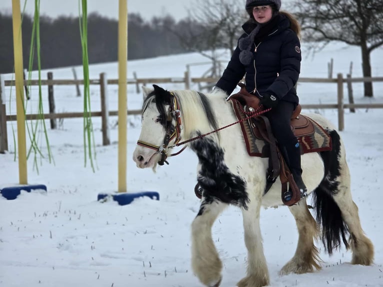 Tinker Stute 5 Jahre 135 cm Schecke in Linkenbach