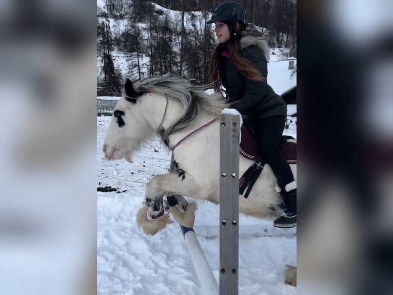 Tinker Mix Stute 9 Jahre 135 cm Schecke in Valchava