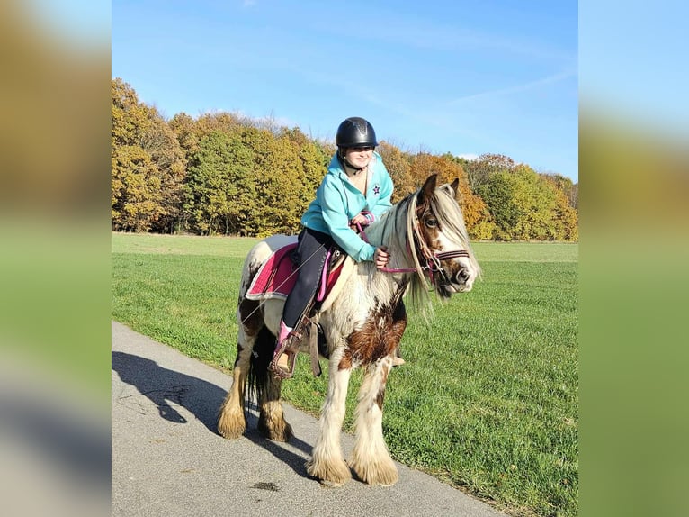 Tinker Stute 9 Jahre 144 cm Schecke in Linkenbach Tinker Stute 9 Jahre 144 cm Schecke in Linkenbach