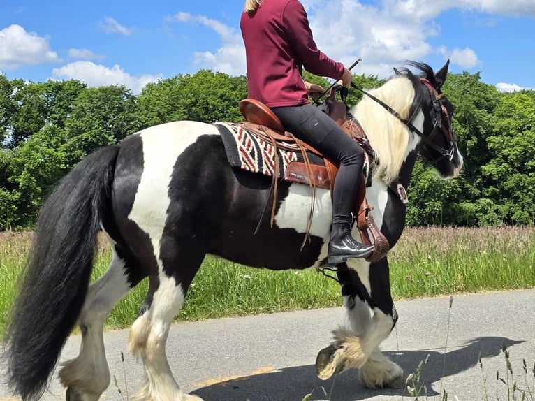 Tinker Wałach 10 lat 153 cm Srokata in Linkenbach