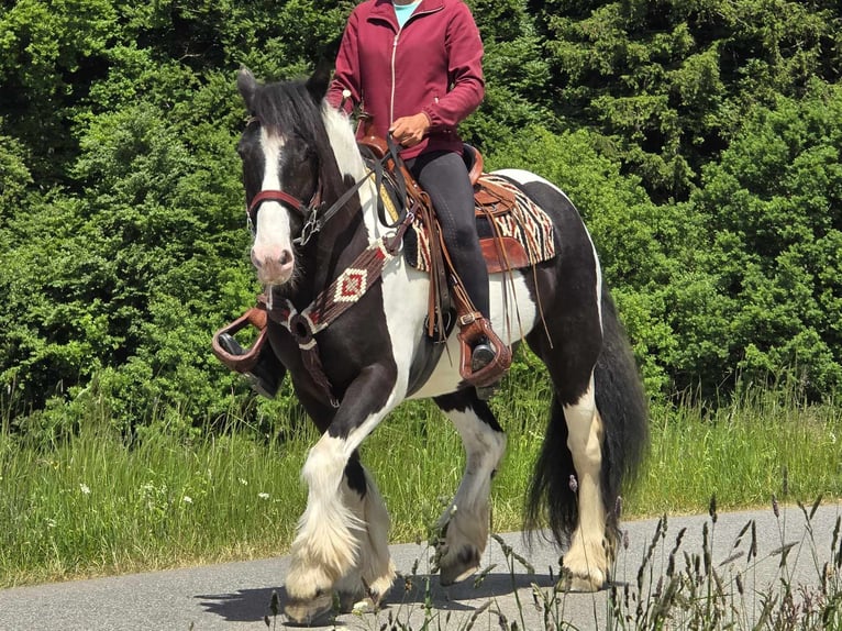 Tinker Wałach 10 lat 153 cm Srokata in Linkenbach
