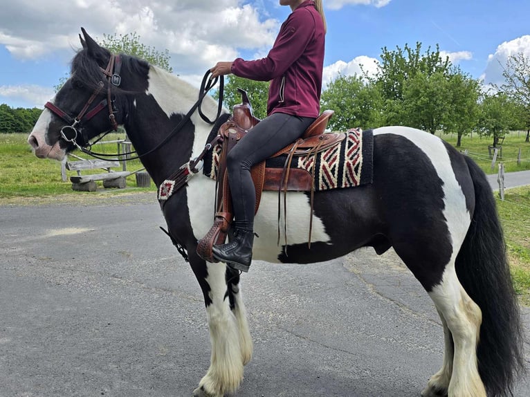 Tinker Wałach 10 lat 153 cm Srokata in Linkenbach