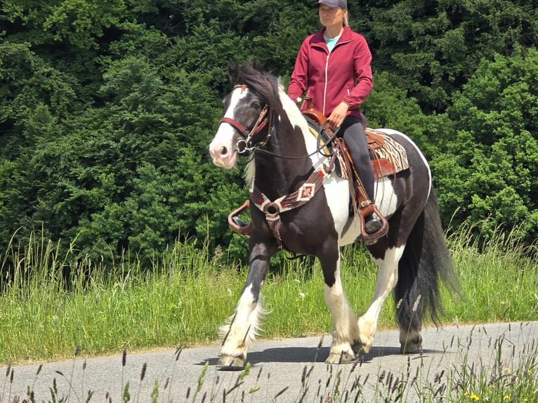 Tinker Wałach 10 lat 153 cm Srokata in Linkenbach