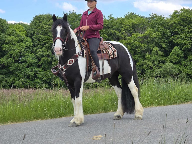 Tinker Wałach 10 lat 153 cm Srokata in Linkenbach
