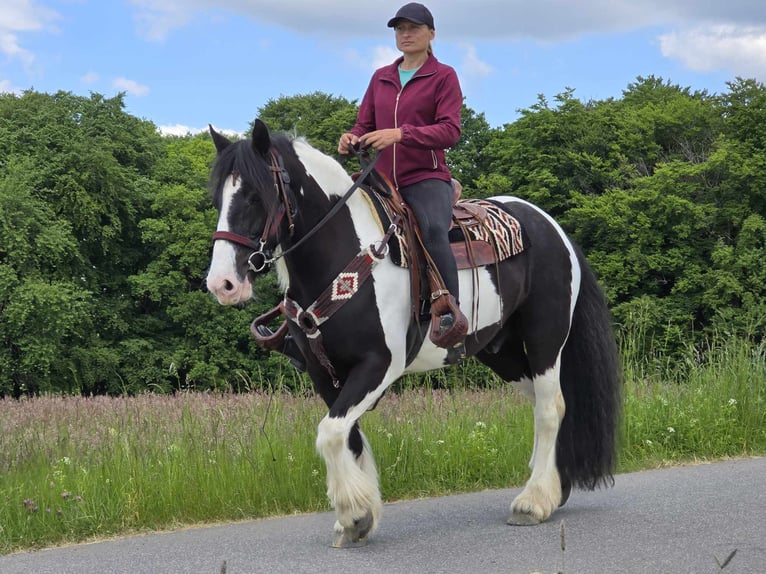 Tinker Wałach 10 lat 153 cm Srokata in Linkenbach