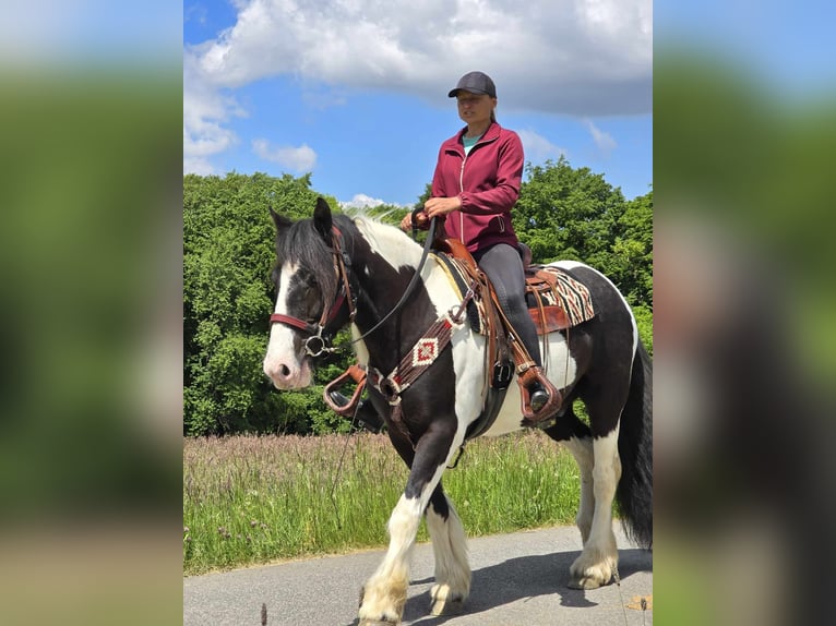 Tinker Wałach 10 lat 153 cm Srokata in Linkenbach