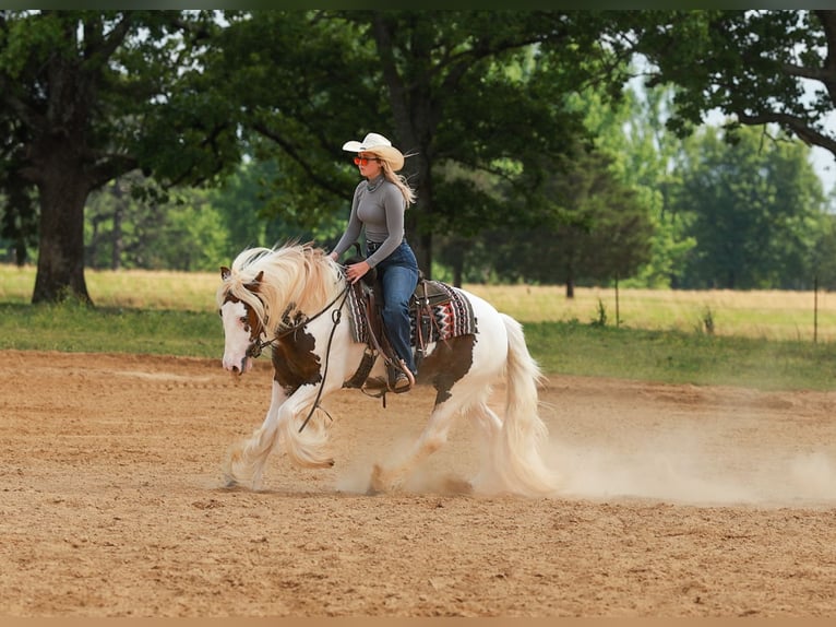 Tinker Wałach 3 lat 142 cm Tobiano wszelkich maści in Quitman, AR