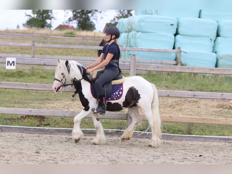 Tinker Wałach 5 lat 120 cm Srokata in Pepingen