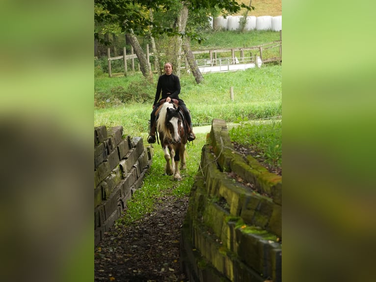 Tinker Mix Wałach 5 lat 152 cm Srokata in Fresno