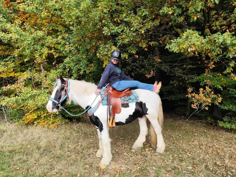 Tinker Wałach 6 lat 150 cm Srokata in Linkenbach